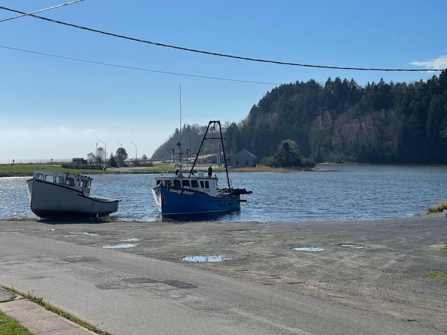 Finn'S Studio, Fundy Park Alma Dış mekan fotoğraf